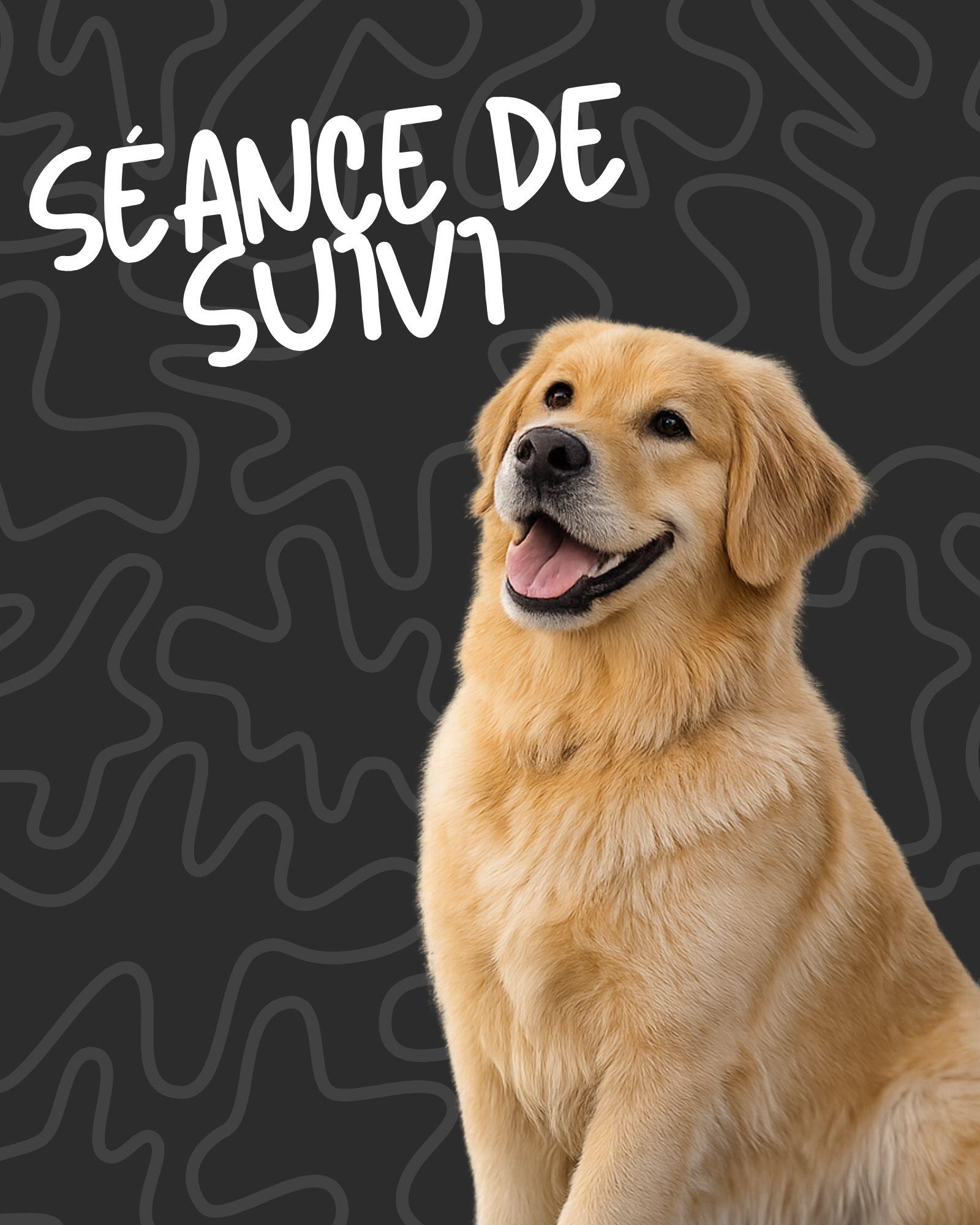 La Séance de Suivi Individuelle