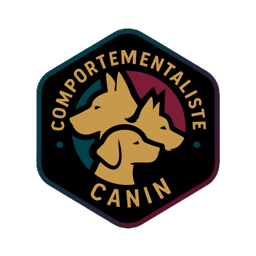 BienMonChien comportementaliste canin