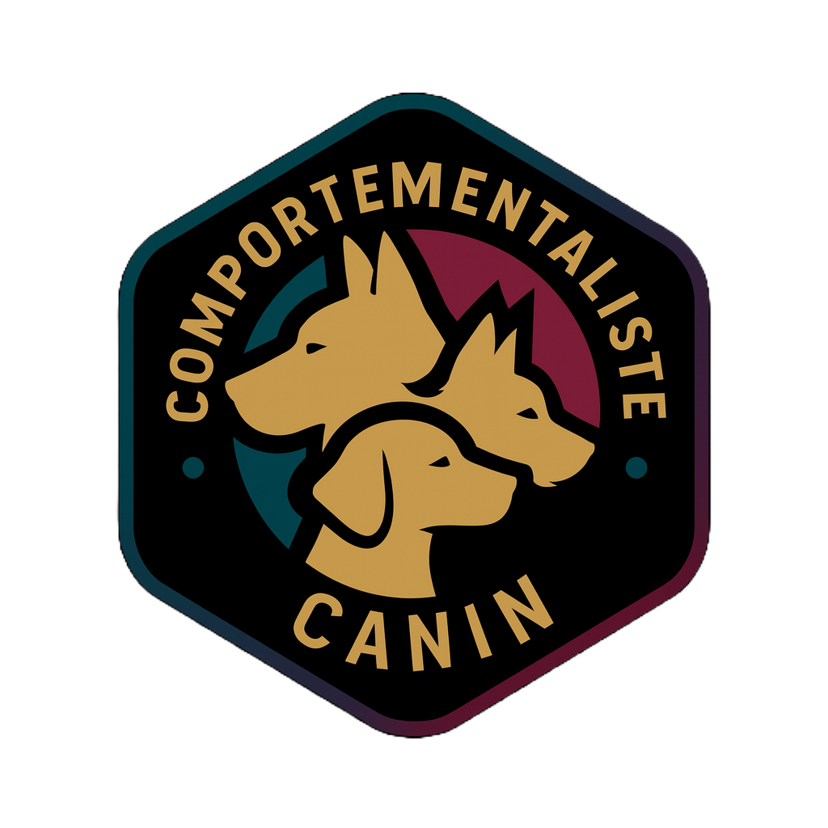 BienMonChien comportementaliste canin