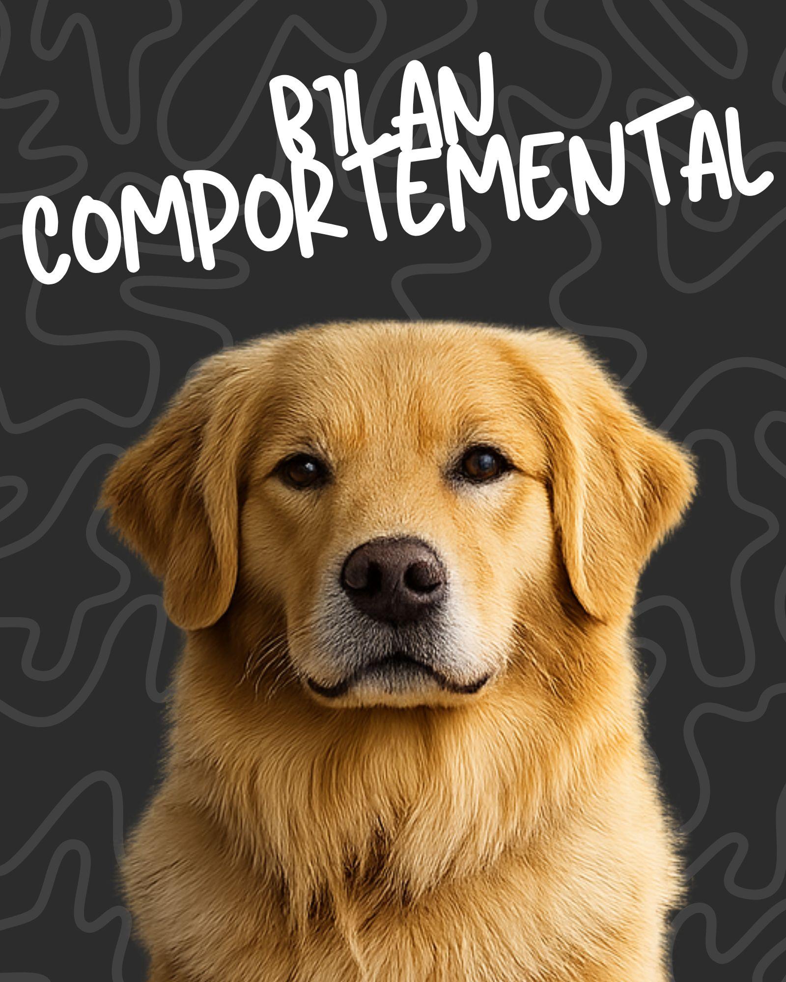Le Bilan Comportemental Complet